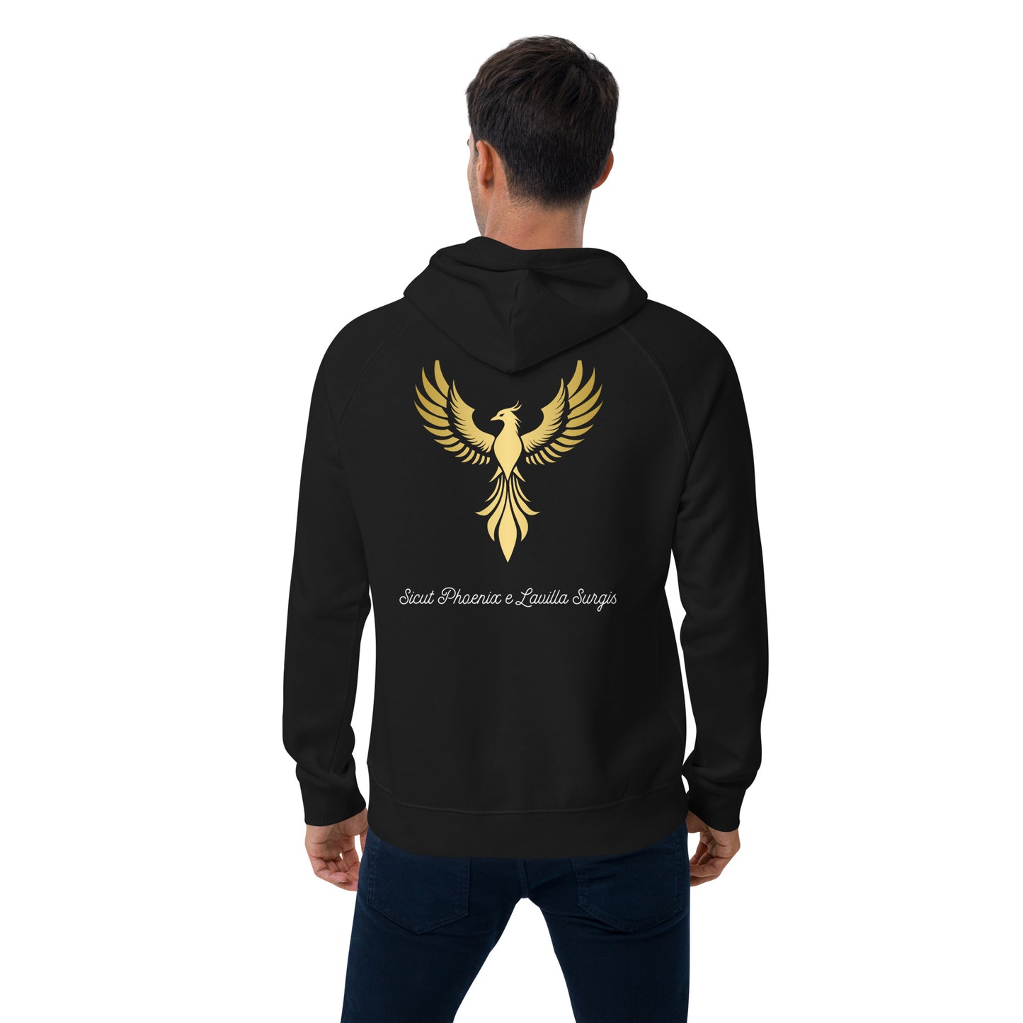 Vitalux Men's Phoenix Hoodie