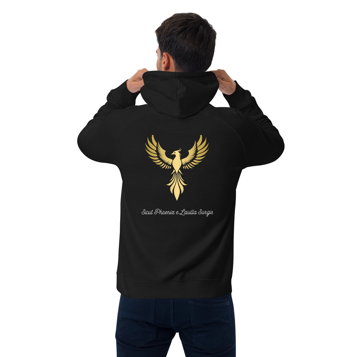 Vitalux Men's Phoenix Hoodie