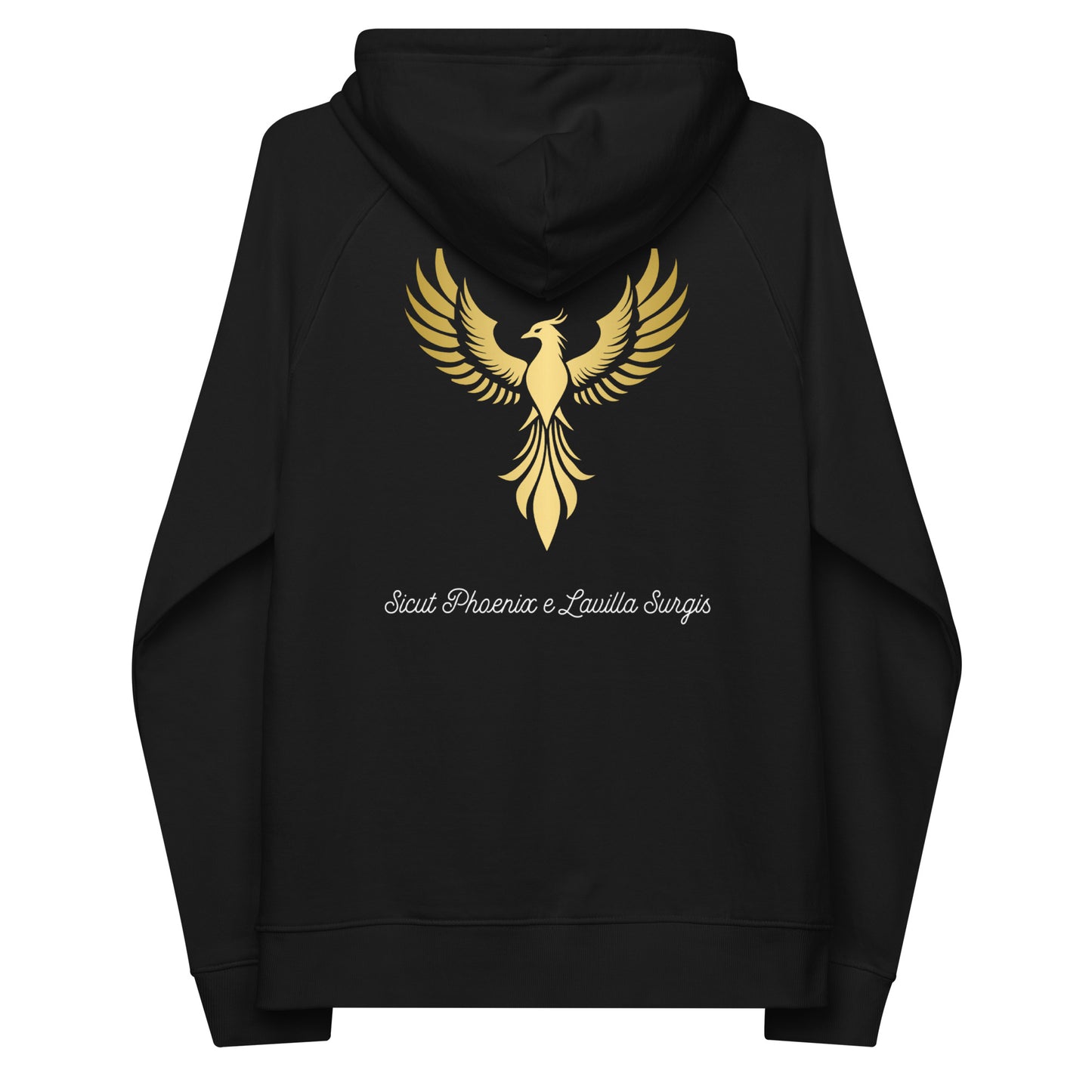 Vitalux Men's Phoenix Hoodie