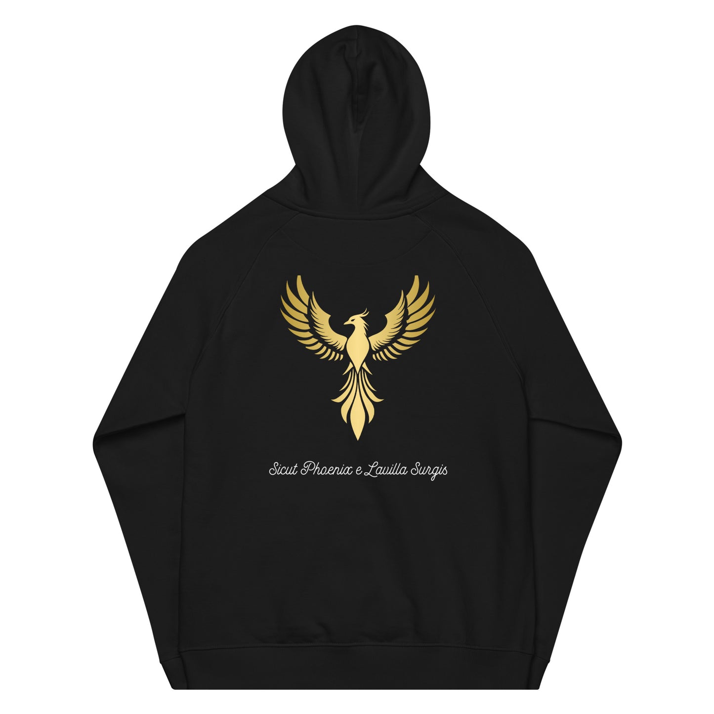 Vitalux Men's Phoenix Hoodie