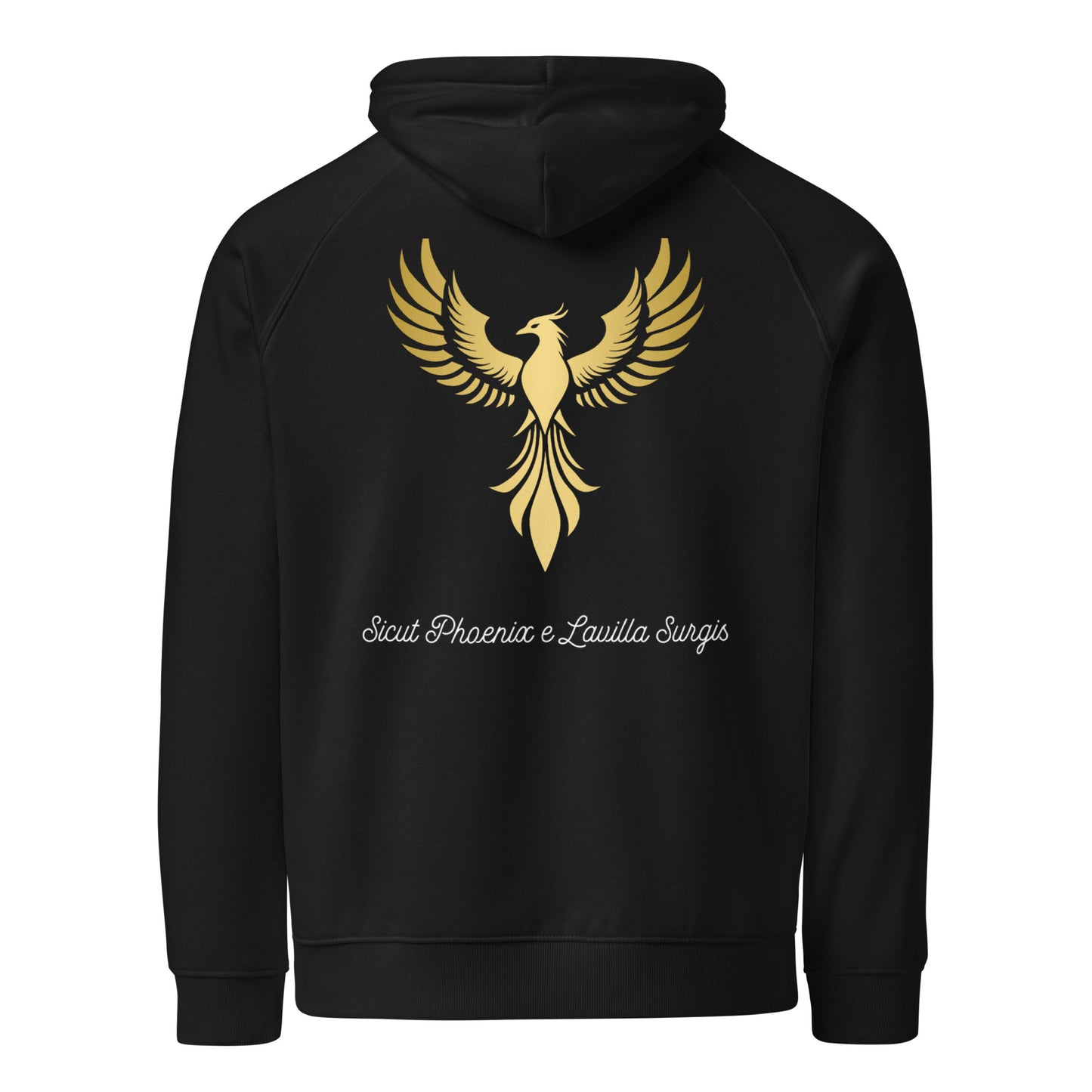 Vitalux Men's Phoenix Hoodie