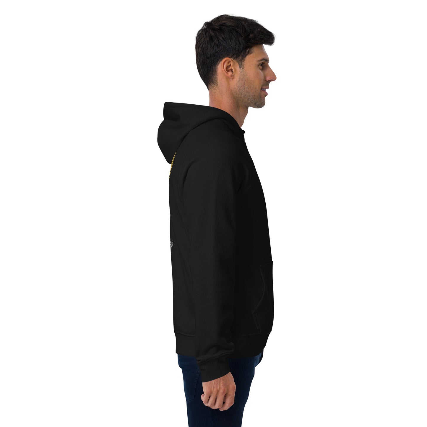 Vitalux Men's Phoenix Hoodie