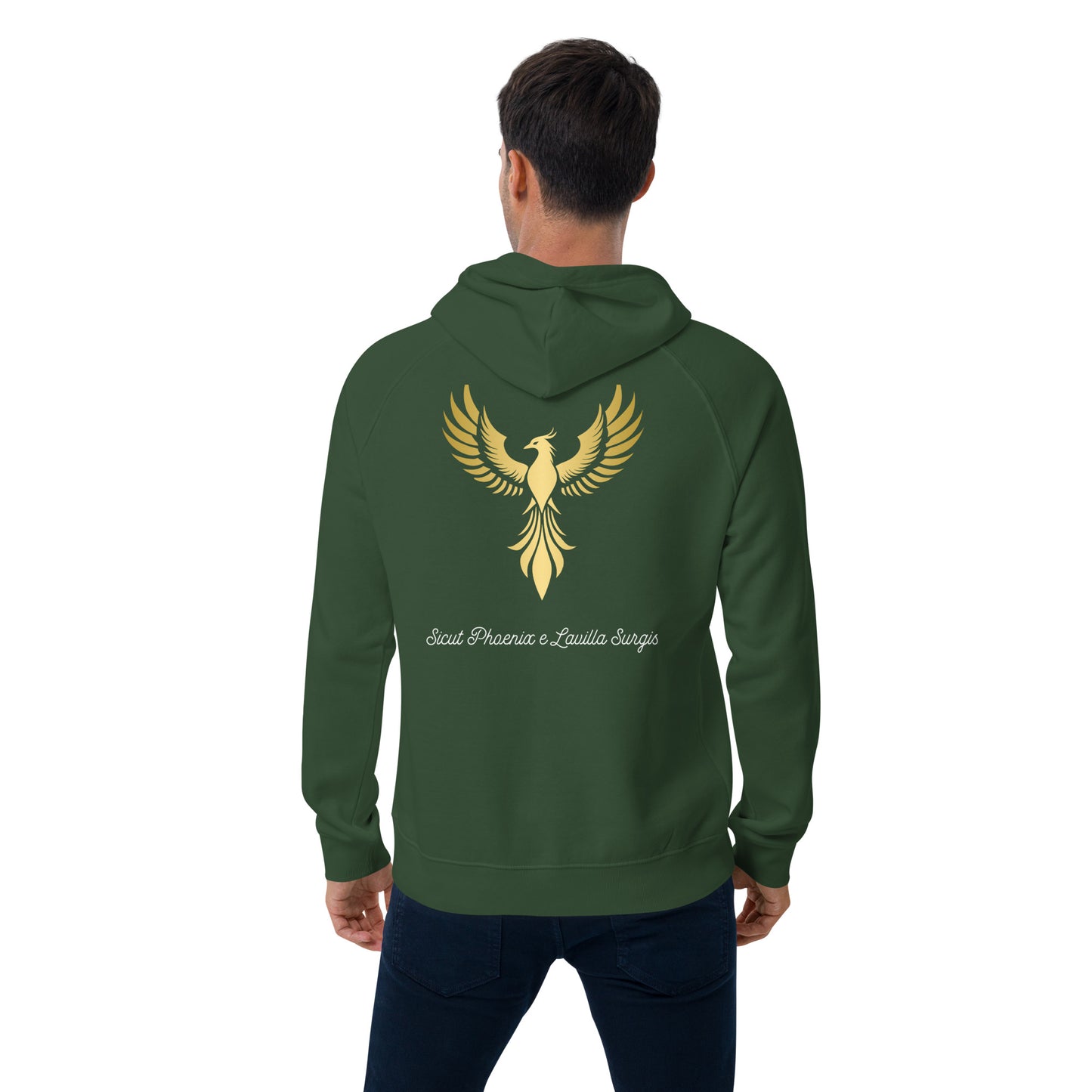 Vitalux Men's Phoenix Hoodie