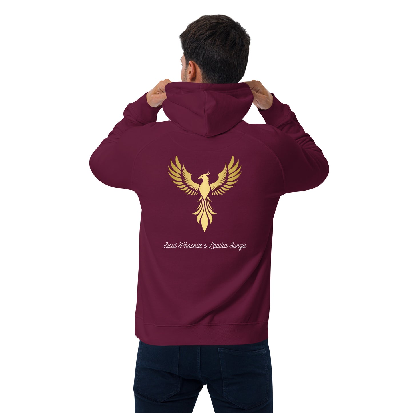 Vitalux Men's Phoenix Hoodie