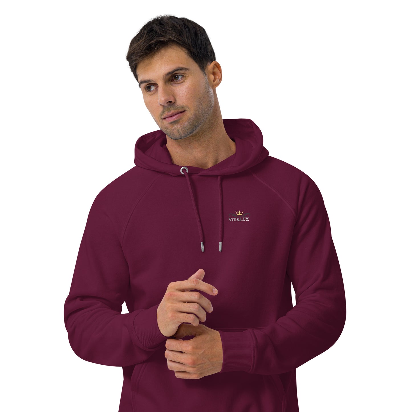 Vitalux Men's Phoenix Hoodie