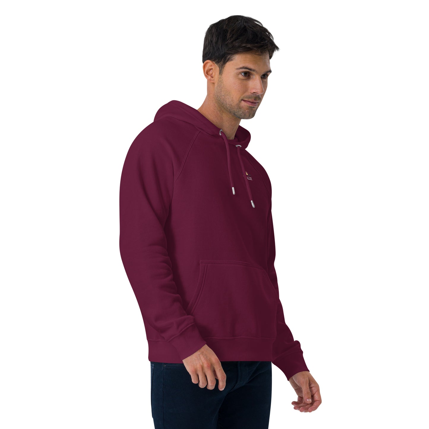 Vitalux Men's Phoenix Hoodie