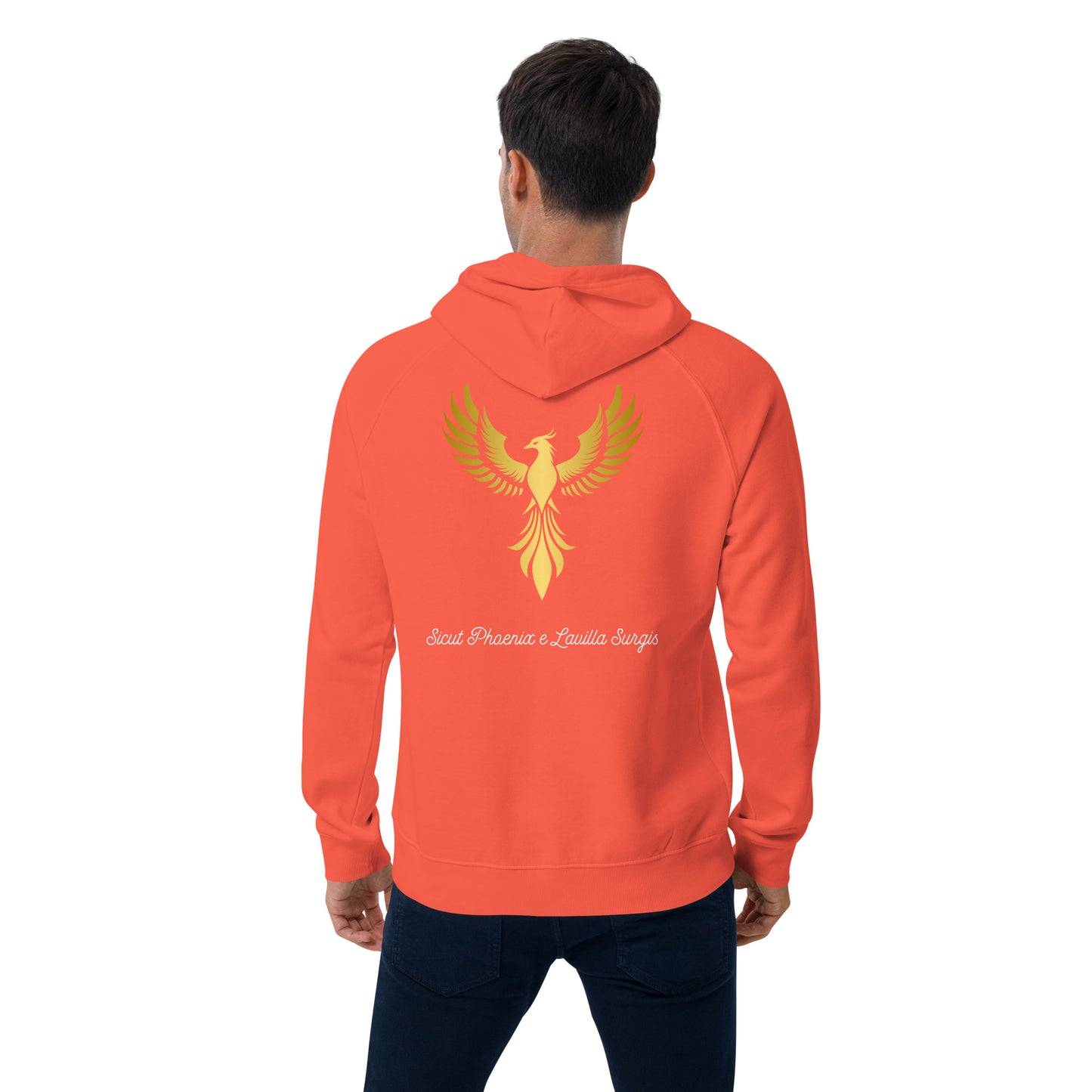 Vitalux Men's Phoenix Hoodie