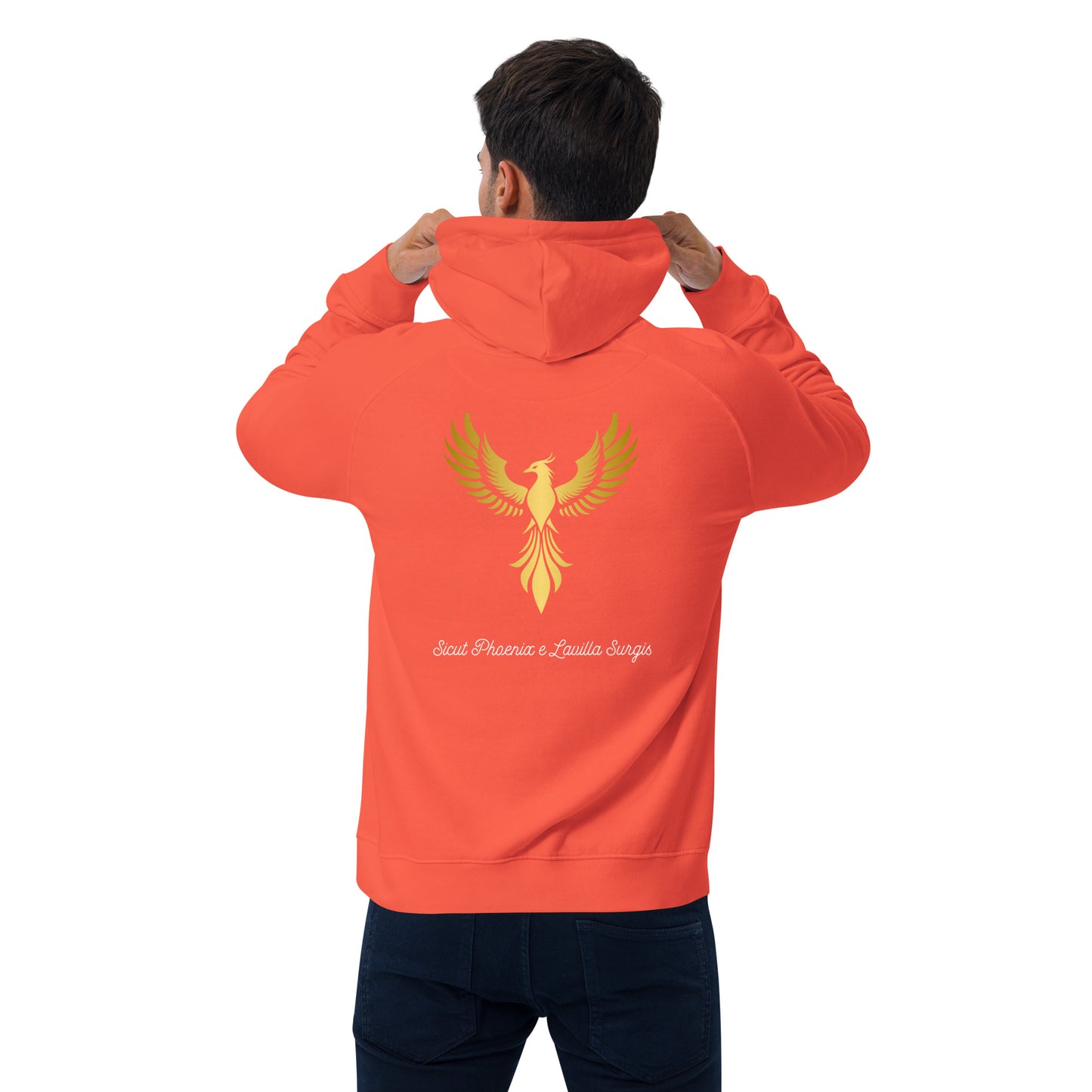 Vitalux Men's Phoenix Hoodie