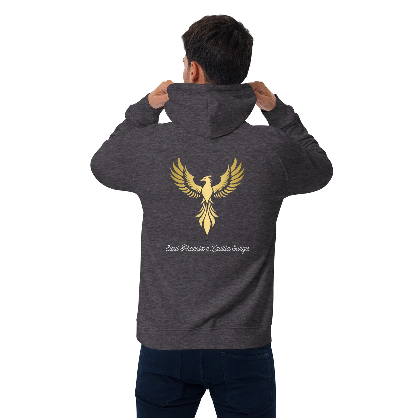 Vitalux Men's Phoenix Hoodie