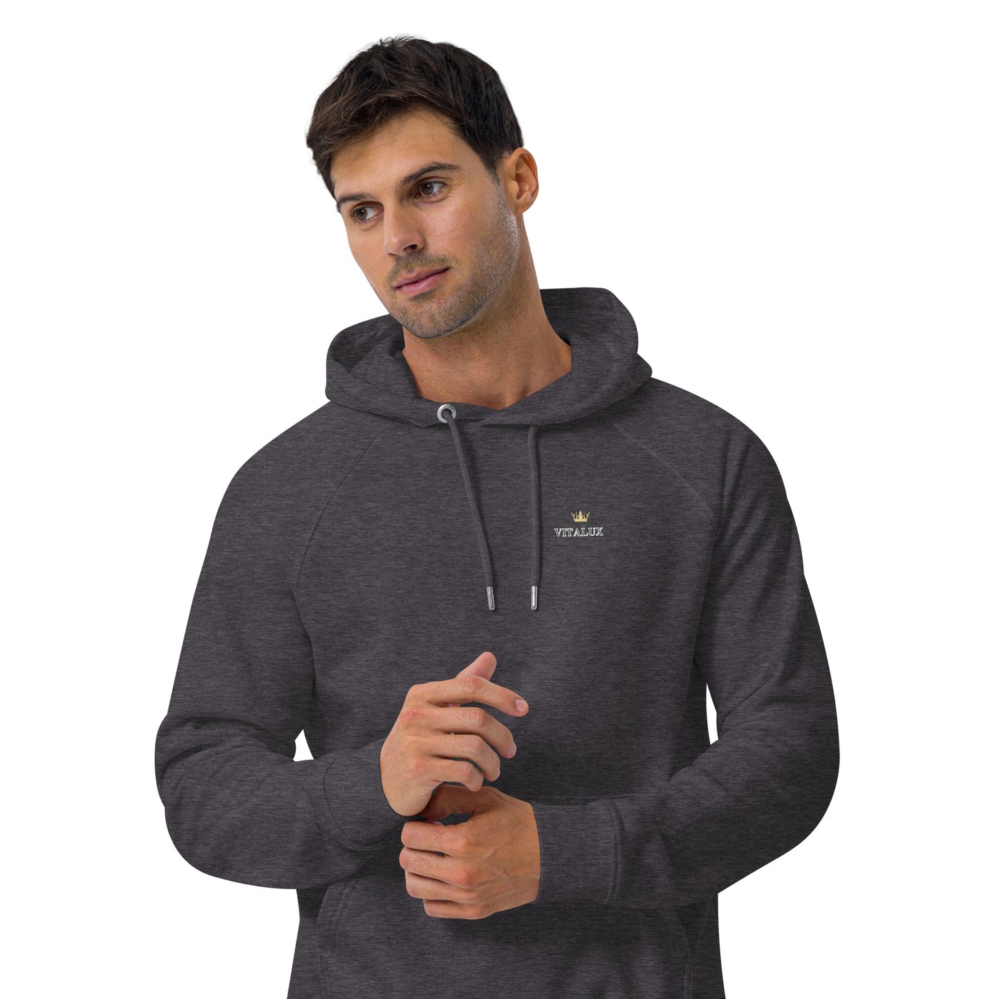 Vitalux Men's Phoenix Hoodie