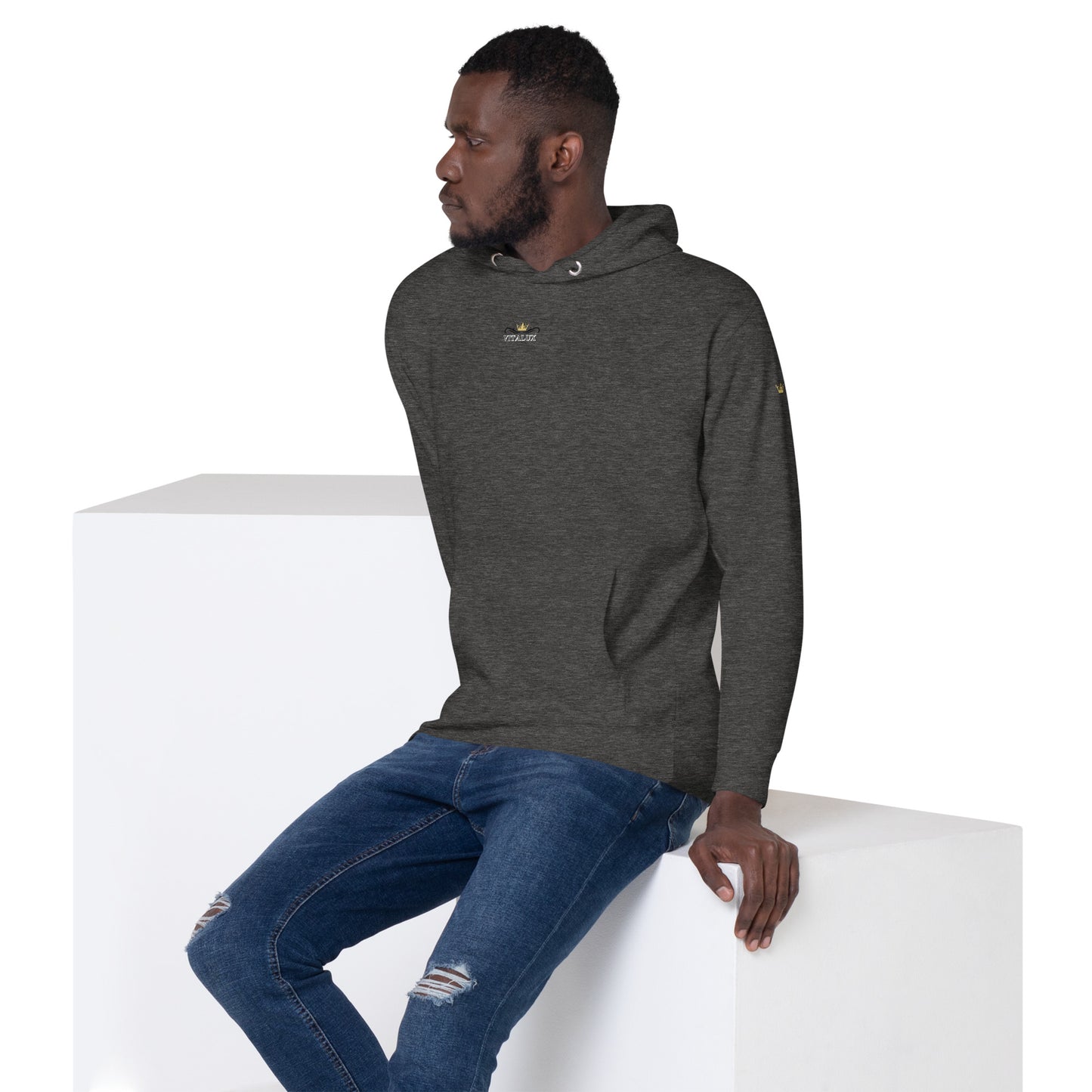 Vitalux Men's Original Hoodie