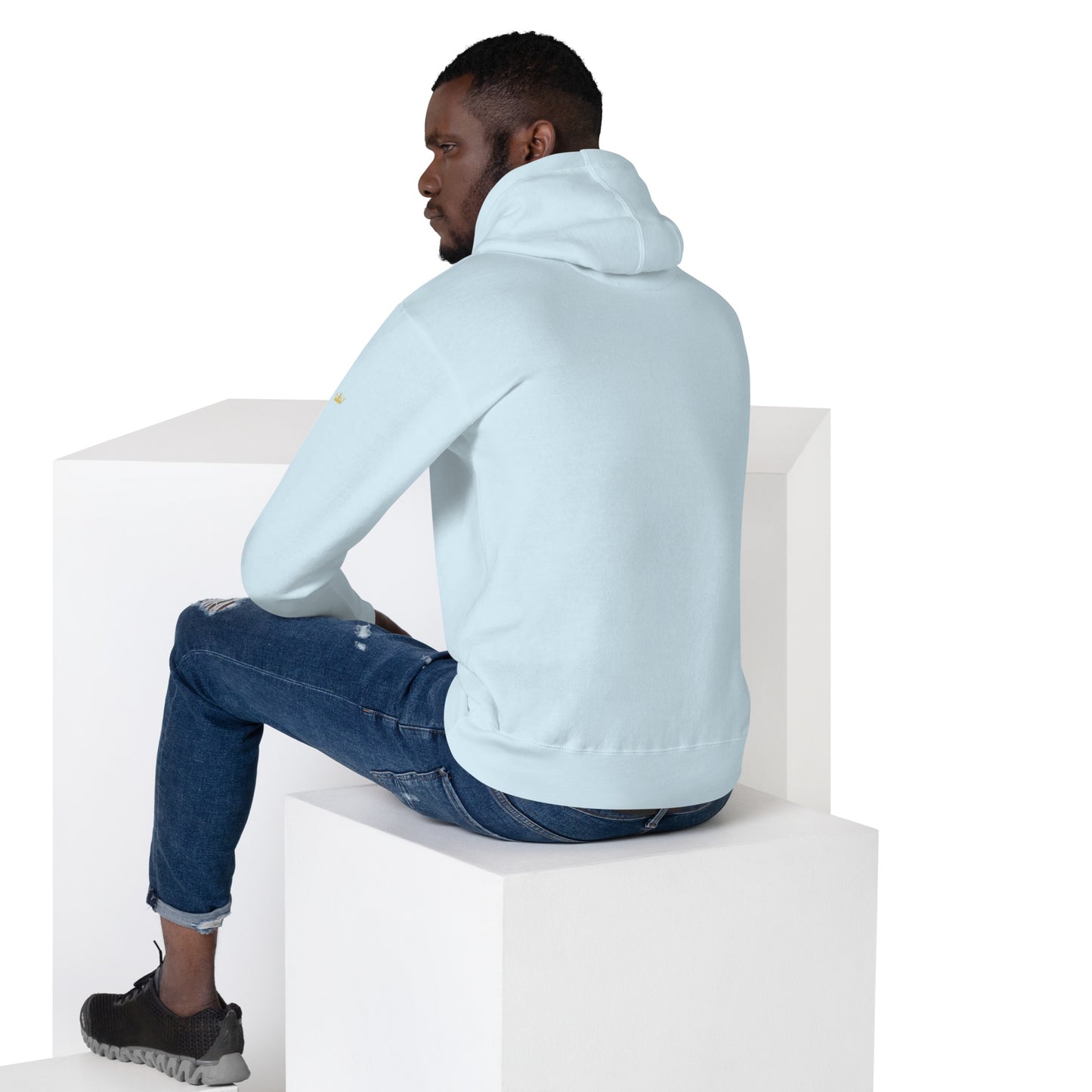 Vitalux Men's Original Hoodie