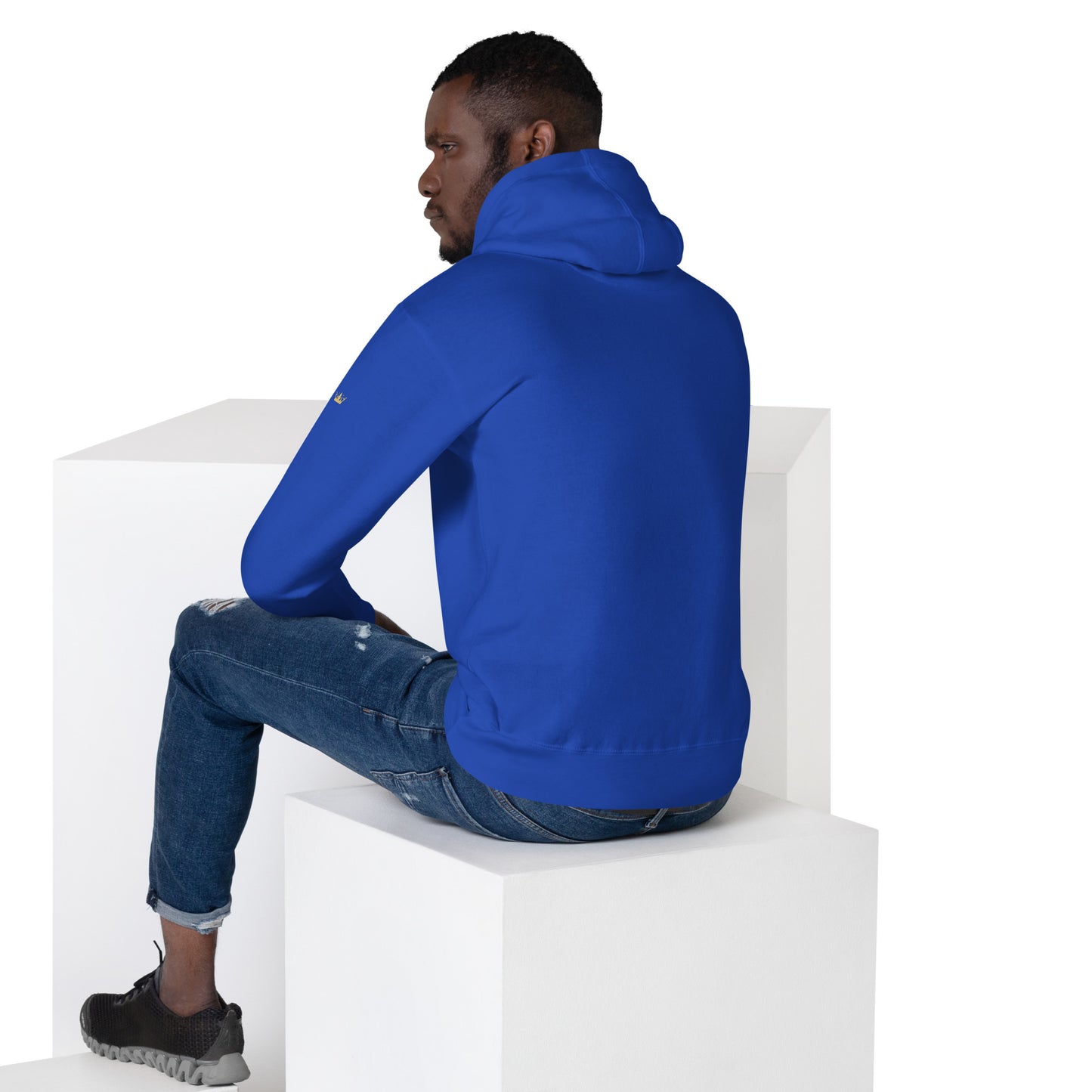 Vitalux Men's Original Hoodie