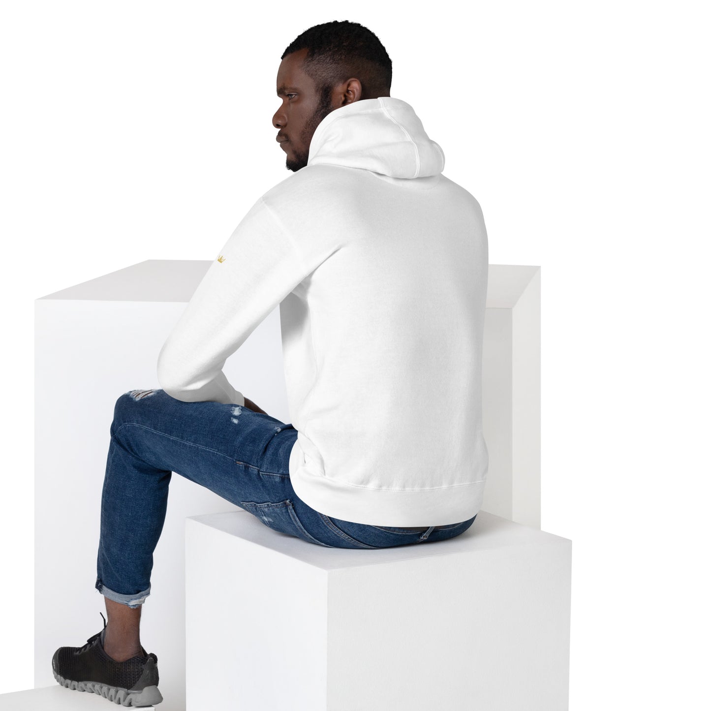 Vitalux Men's Original Hoodie